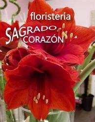 Horario de apertura Floristería, Ourense