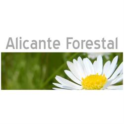 Horario de apertura Alicante Forestal, 