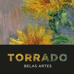 Horario de apertura Torrado Belas Artes, Pontevedra
