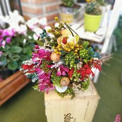 Horario de apertura Floristería Los Cocoteros, Rincón de la Victoria