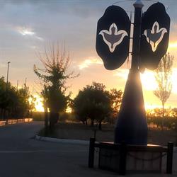 Horario de apertura Basida, Aranjuez