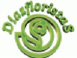 Horario de apertura Díaz Floristas, Puertollano