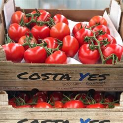 Horario de apertura Hortofrutícola Costa De Almería, Roquetas de Mar