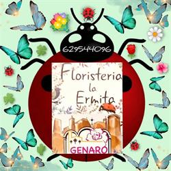 Horario de apertura Floristería La Ermita Genaro, Torreperogil
