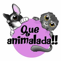 Horario de apertura Que Animalada, Esplugues de Llobregat