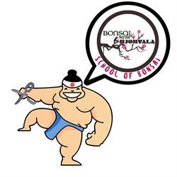 Bonsai Sense en Palma de Mallorca (Nord) - Horario de apertura