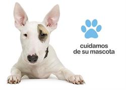 Horario de apertura 4 Patas, Casillas