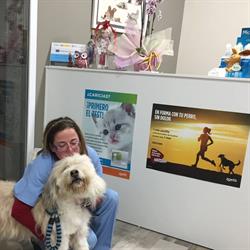 Horario de apertura Gatocan Centro Veterinario, Moreiras