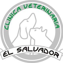 Horario de apertura Clínica Veterinaria El Salvador, La Matanza de Acentejo