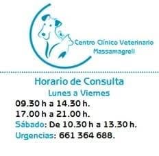 Horario de apertura Centro Clínico Veterinario de Massamagrell, 