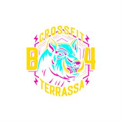 Horario de apertura CrossFit Terrassa,