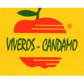Horario de apertura Viveros Candamo, Santoseso