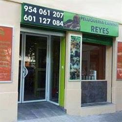 Peluquería Canina Reyes en Sevilla (Norte) - Horario de apertura