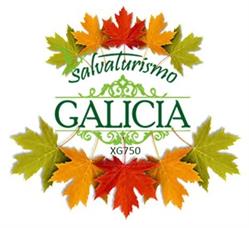 Horario de apertura Salvaturismo Galicia, Salvaterra de Miño