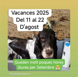 Horario de apertura Noelia Perruqueria Canina, Amposta