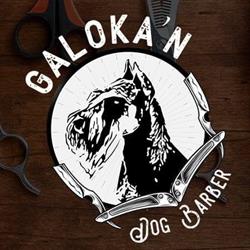 Horario de apertura Galoka'n Dog Barber, Llodio