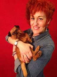Horario de apertura Peluquería Canina y Escuela de peluqueria Canina PLUCKING en Santander, 