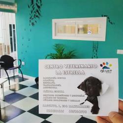 Horario de apertura CENTRO VETERINARIO LA ESTRELLA-Daimiel, 