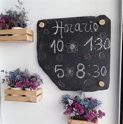 Horario de apertura quercus, Santa Cruz