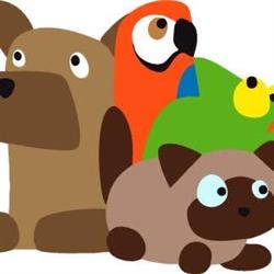 Horario de apertura Popet Mascotas, Sant Joan d'Alacant