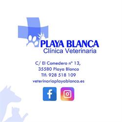 Horario de apertura Clínica veterinaria playa blanca, Playa Blanca