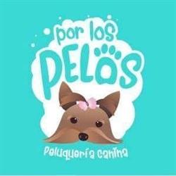 Horario de apertura Peluquería Canina Por los pelos, Sevilla