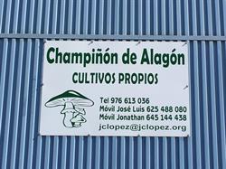 Horario de apertura Champiñón, Alagón