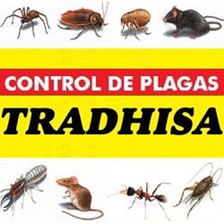 Horario de apertura Tradhisa Control de Plagas, Badajoz