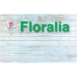 Horario de apertura Floralia, Alhaurín El Grande