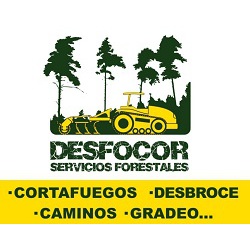 Horario de apertura Desfocor, Alcolea