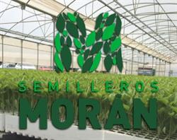 Horario de apertura Semilleros Morán, Puebla de la Calzada
