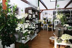Horario de apertura Centro De Jardinería El Montecito, Lobón