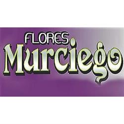 Horario de apertura Flores Murciego, Santa María del Páramo