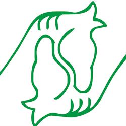 Horario de apertura Equihealth Veterinarios S.L, La Roca del Valles