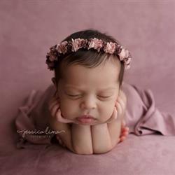Horario de apertura Jessica Lima - Estudio fotográfico, Boadilla Del Monte
