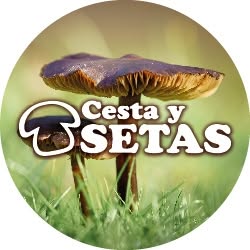 Horario de apertura Cesta y Setas, Torrent