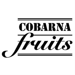 Cobarna Fruits, S.L. en Barcelona (Sants-Montjuïc) - Horario de apertura