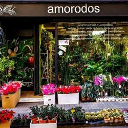 Horario de apertura Amorodos, A Coruña