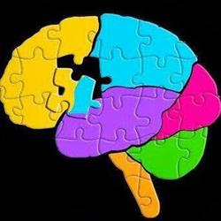 Horario de apertura Unidad de Memoria Entrenamiento Cerebral. Preserve S I S L, Alcorcón