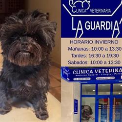Horario de apertura Clinica Veterinaria La Guardia, A Guarda