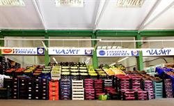 Horario de apertura Frutas Vamp Benicarlo, 
