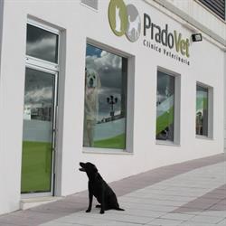 Horario de apertura Pradovet, Oviedo