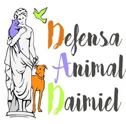 Horario de apertura Defensa Animal Daimiel,