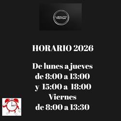 Horario de apertura Lizauto Motor, Urdúliz
