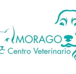 Horario de apertura Centro Veterinario Morago, Mansilla de las Mulas