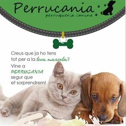 Horario de apertura Perrucania Peluquería Canina, Lleida
