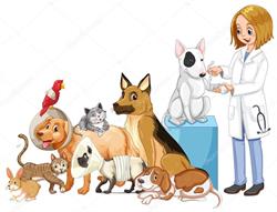 Horario de apertura TU MASCOTA, Benaguasil