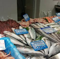 Horario de apertura Solúcar de Pescaderías, Sanlúcar la Mayor