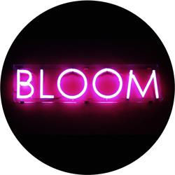 Horario de apertura Bloom (Santiago de Compostela), 