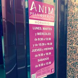 Horario de apertura Anim Peluqueros, Las Palmas de Gran Canaria